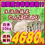 節約高価大！安くておいしいお米をネットで購入するならこれ！